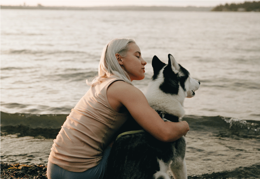 anxiete voyage pension animaux compagnie chien solution naturel ingredient lait lactium